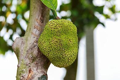 《暗黑破坏神4》x《星际争霸》！更多经典幻化造型上架